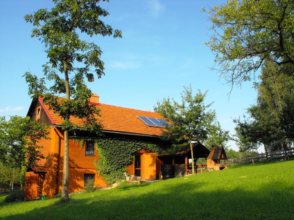Farm stay Agroturystyka Zacisze Czarna Owca