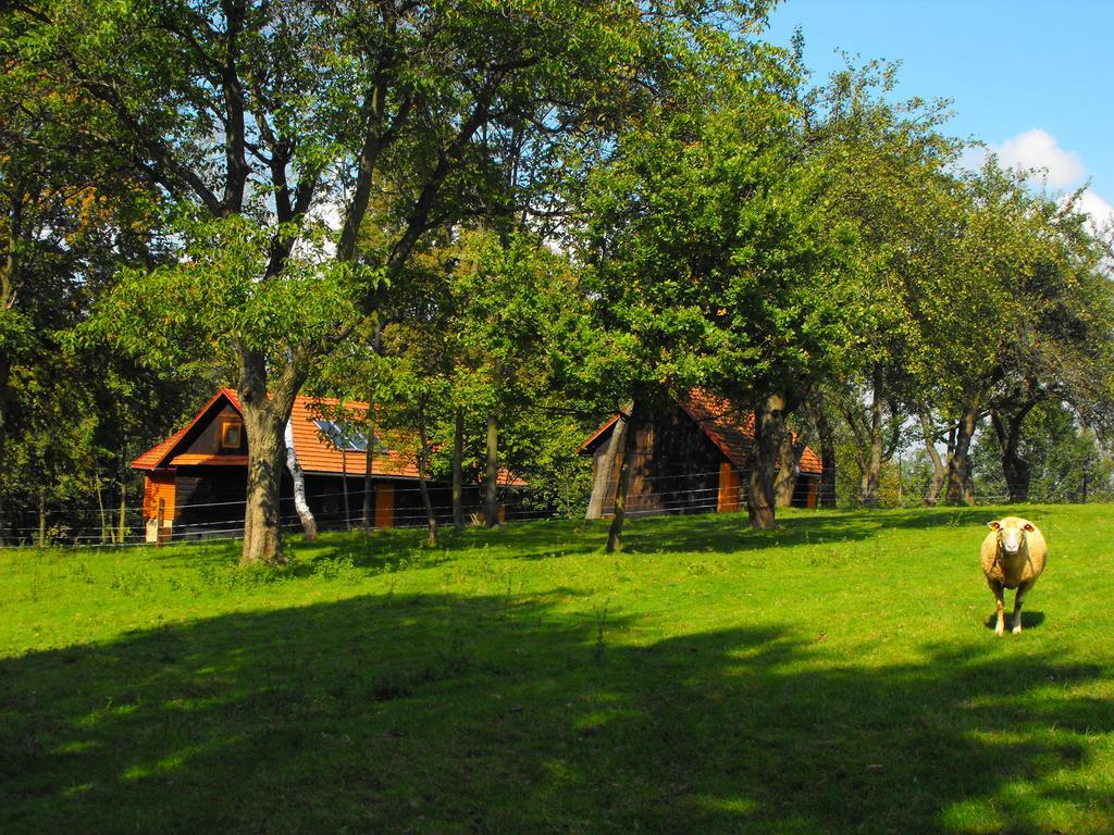 Agroturystyka Zacisze Czarna Owca Brzezanka