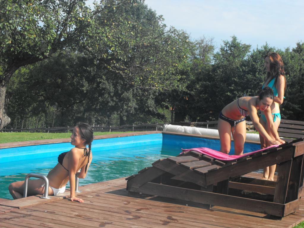 Farm stay Agroturystyka Zacisze Czarna Owca Brzezanka