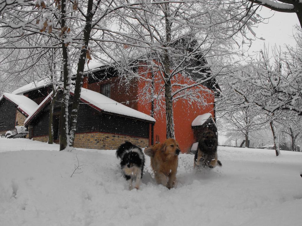 Farm stay Agroturystyka Zacisze Czarna Owca *