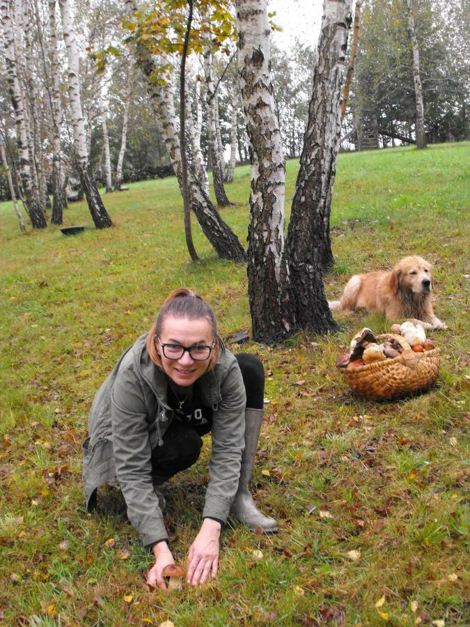 Farm stay Agroturystyka Zacisze Czarna Owca