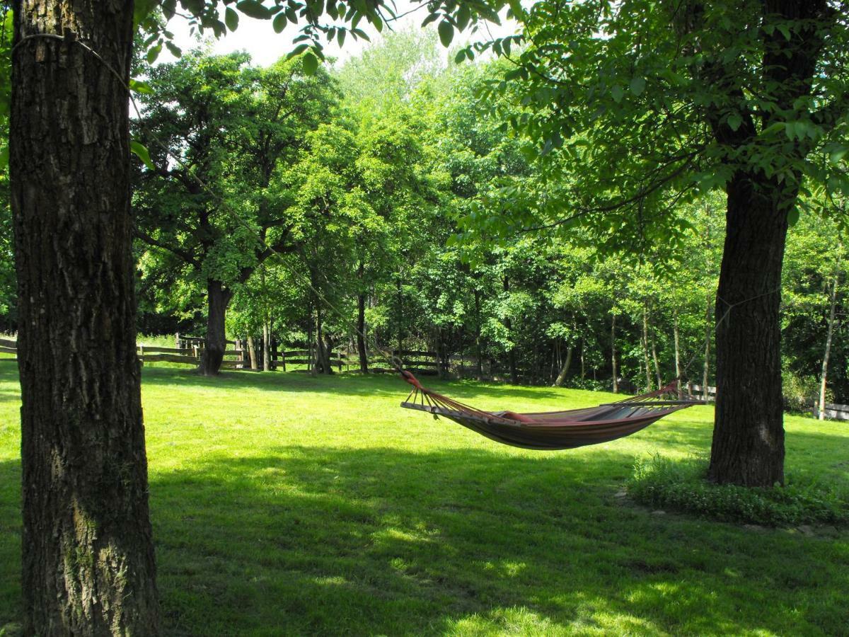 Agroturystyka Zacisze Czarna Owca Farm stay *